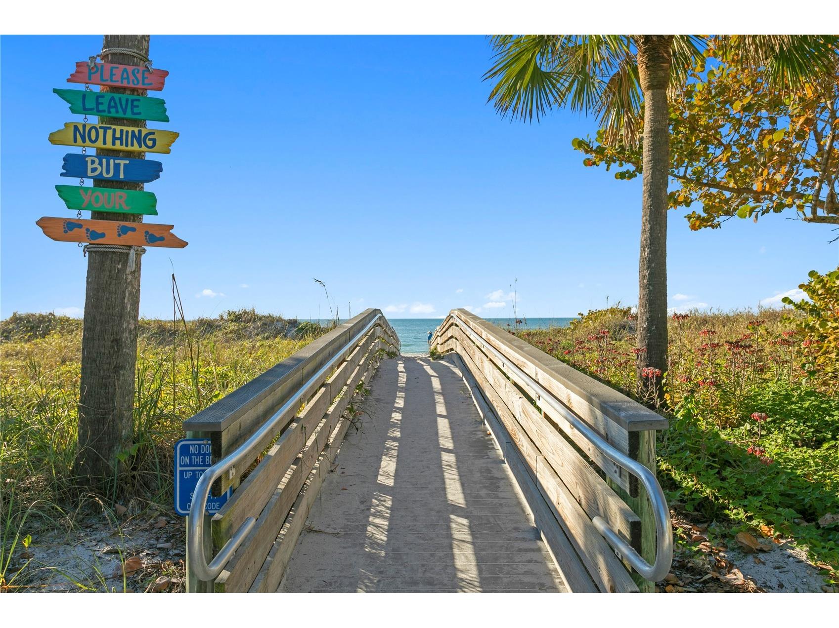800 Gulf Boulevard #5 Indian Rocks Beach FL 33785 TB8526908 image51