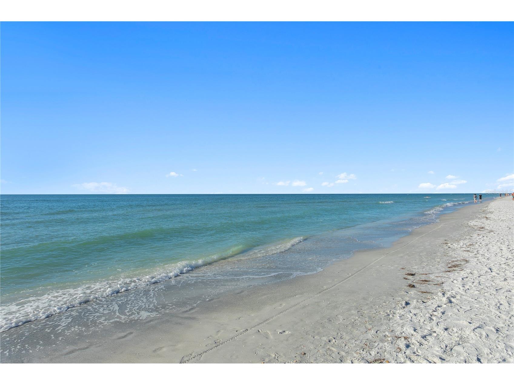 800 Gulf Boulevard #5 Indian Rocks Beach FL 33785 TB8526908 image58