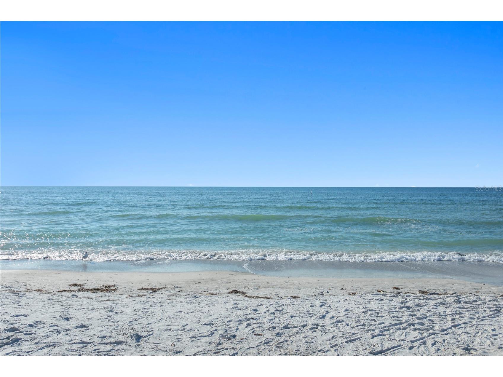 800 Gulf Boulevard #5 Indian Rocks Beach FL 33785 TB8526908 image61