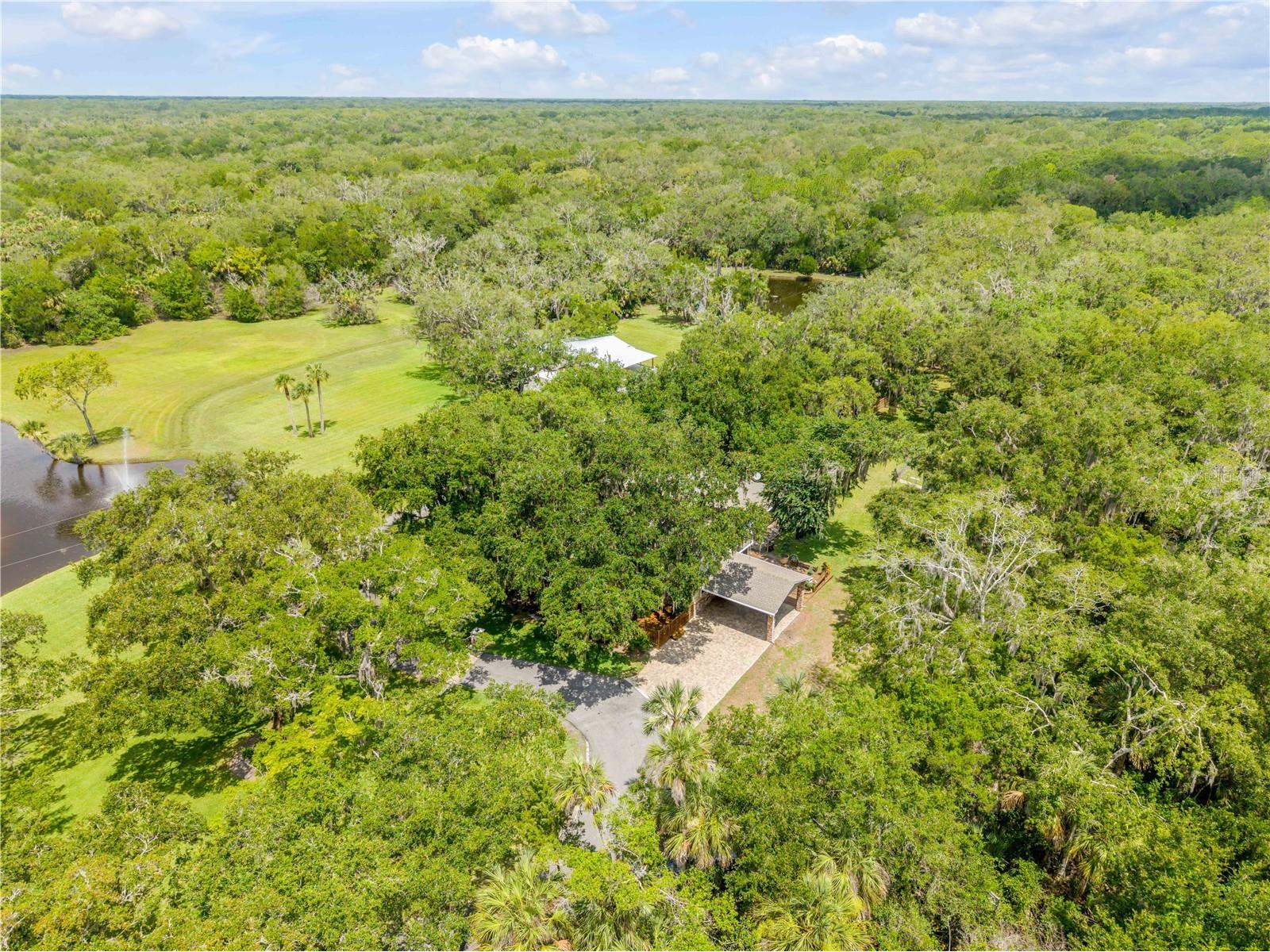 800 Hidden Oaks Lane Oak Hill FL 32759 NS1088593 image8