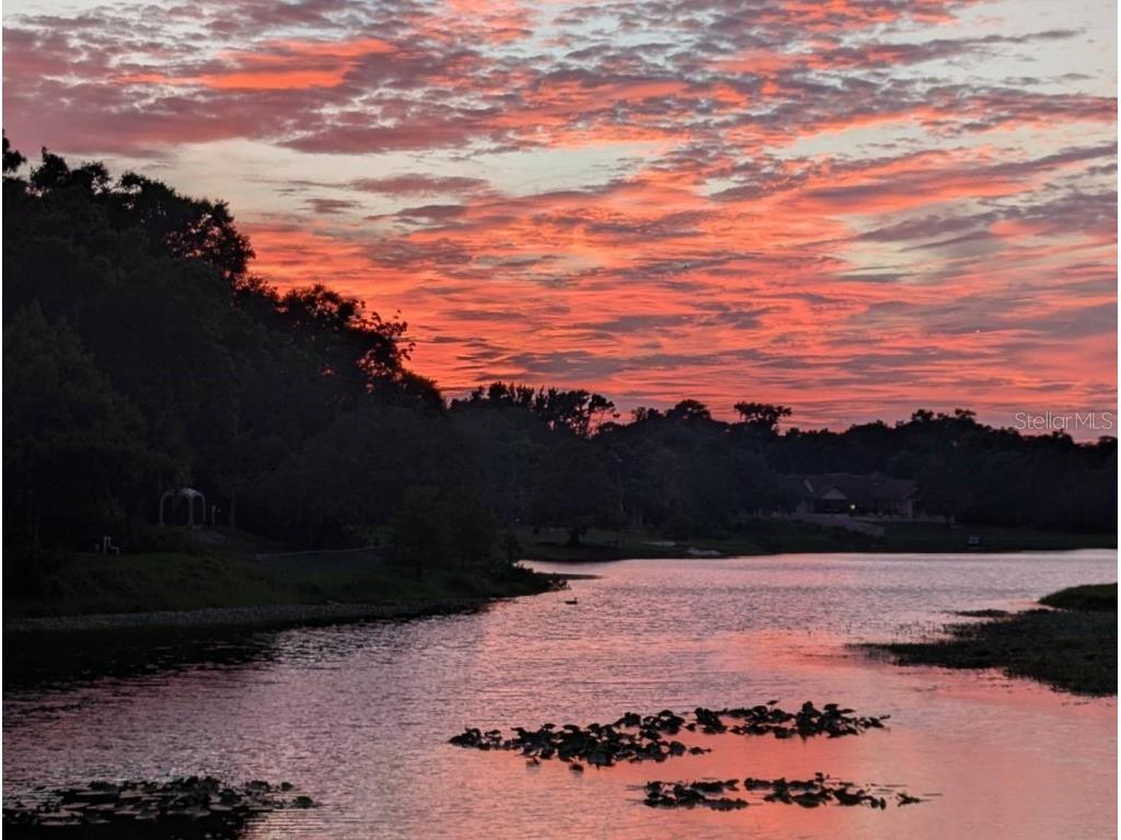 800 Lake Marion Drive Altamonte Springs FL 32701 - LAKE MARION O6336766 image5