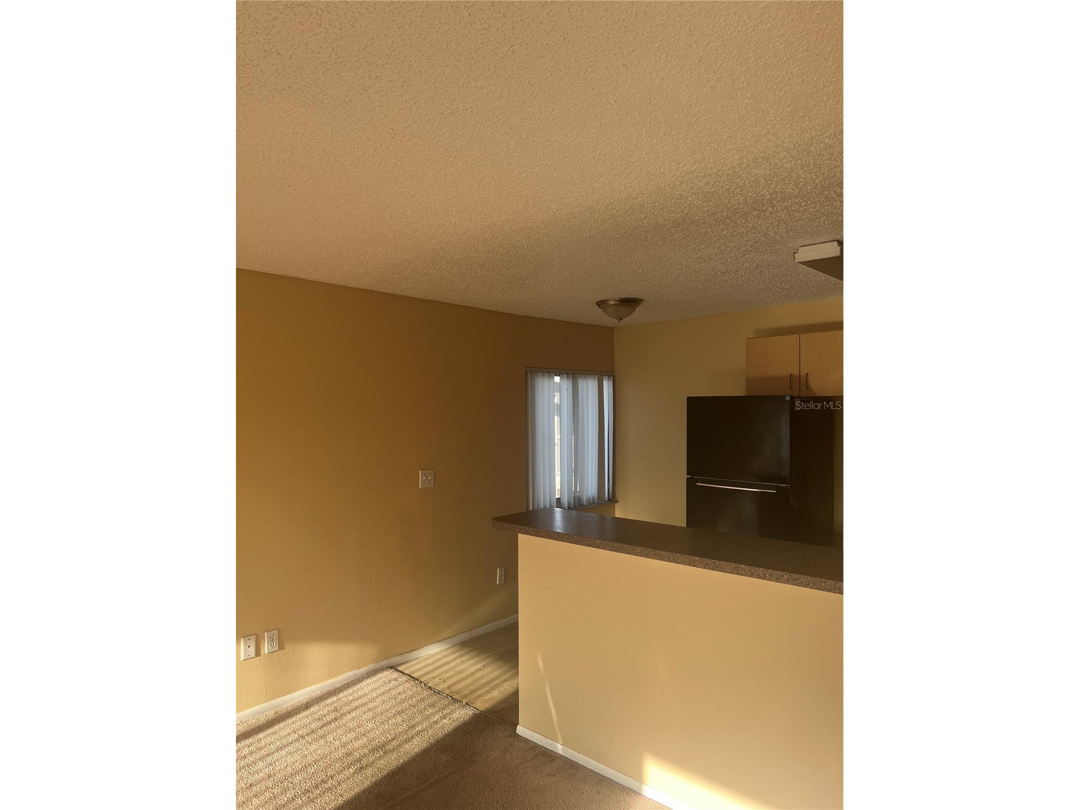 800 N Fiske Boulevard #711 Cocoa FL 32922 O6388788 image6