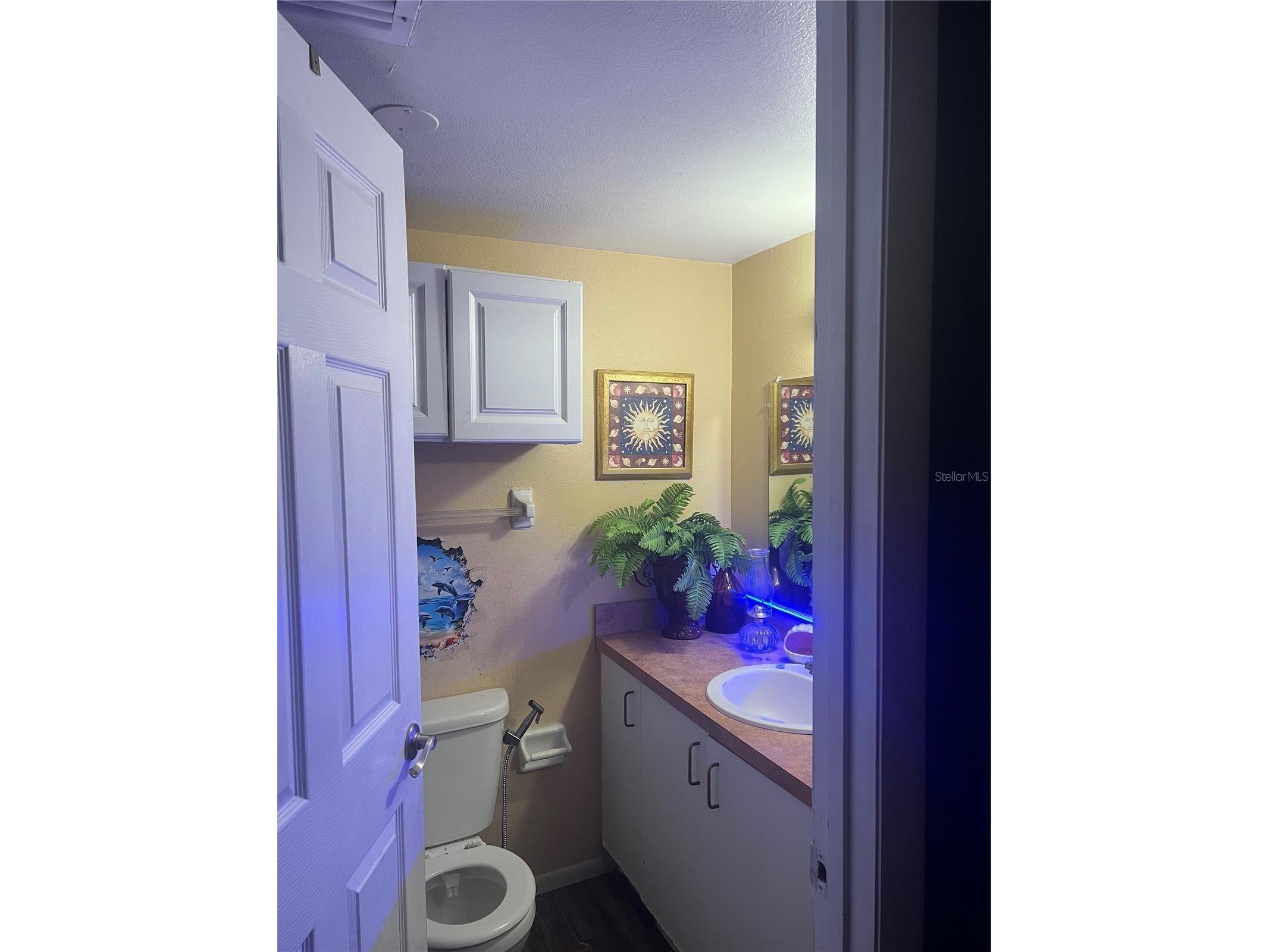 800 N Fiske Boulevard #816 Cocoa FL 32922 O6388794 image3