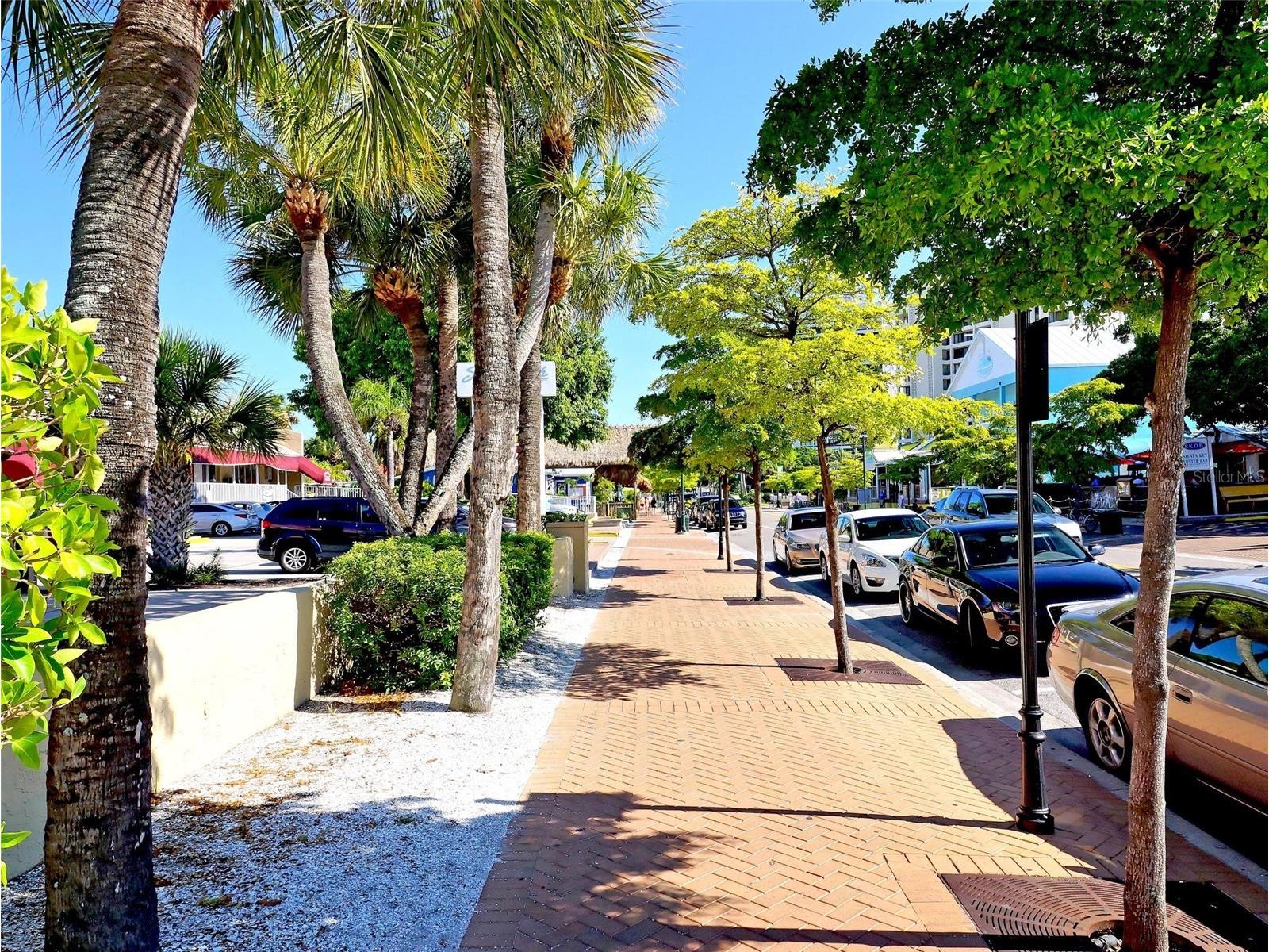 800 N Tamiami Trail #212 Sarasota FL 34236 N6144566 image96