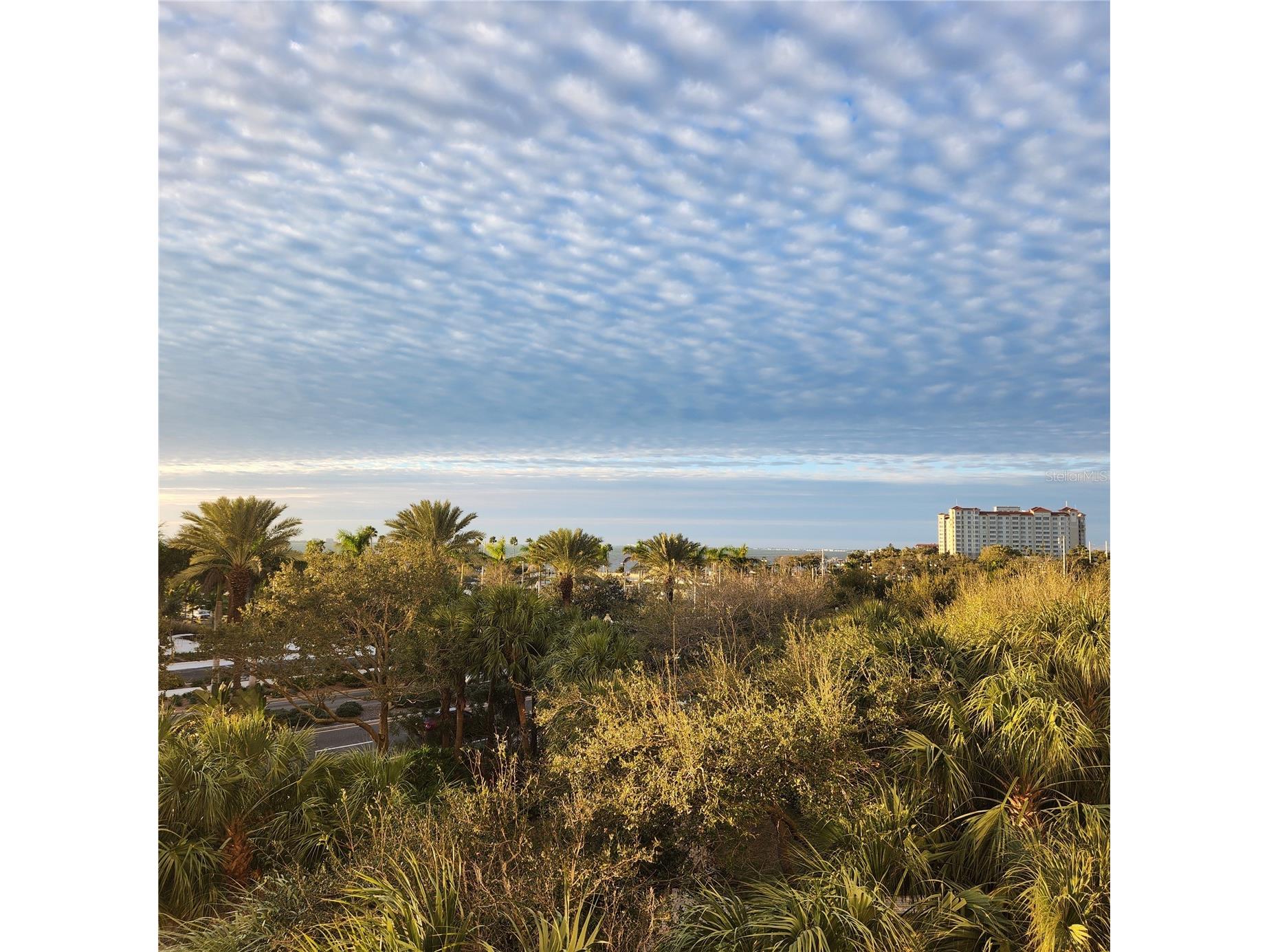 800 N Tamiami Trail #307 Sarasota FL 34236 A4676227 image20