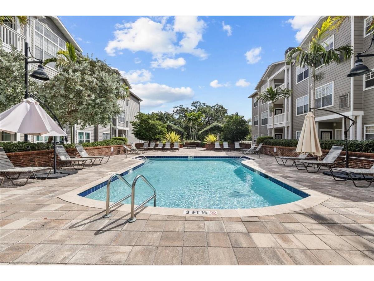 800 S Dakota Avenue #206 Tampa FL 33606 TB8471411 image28
