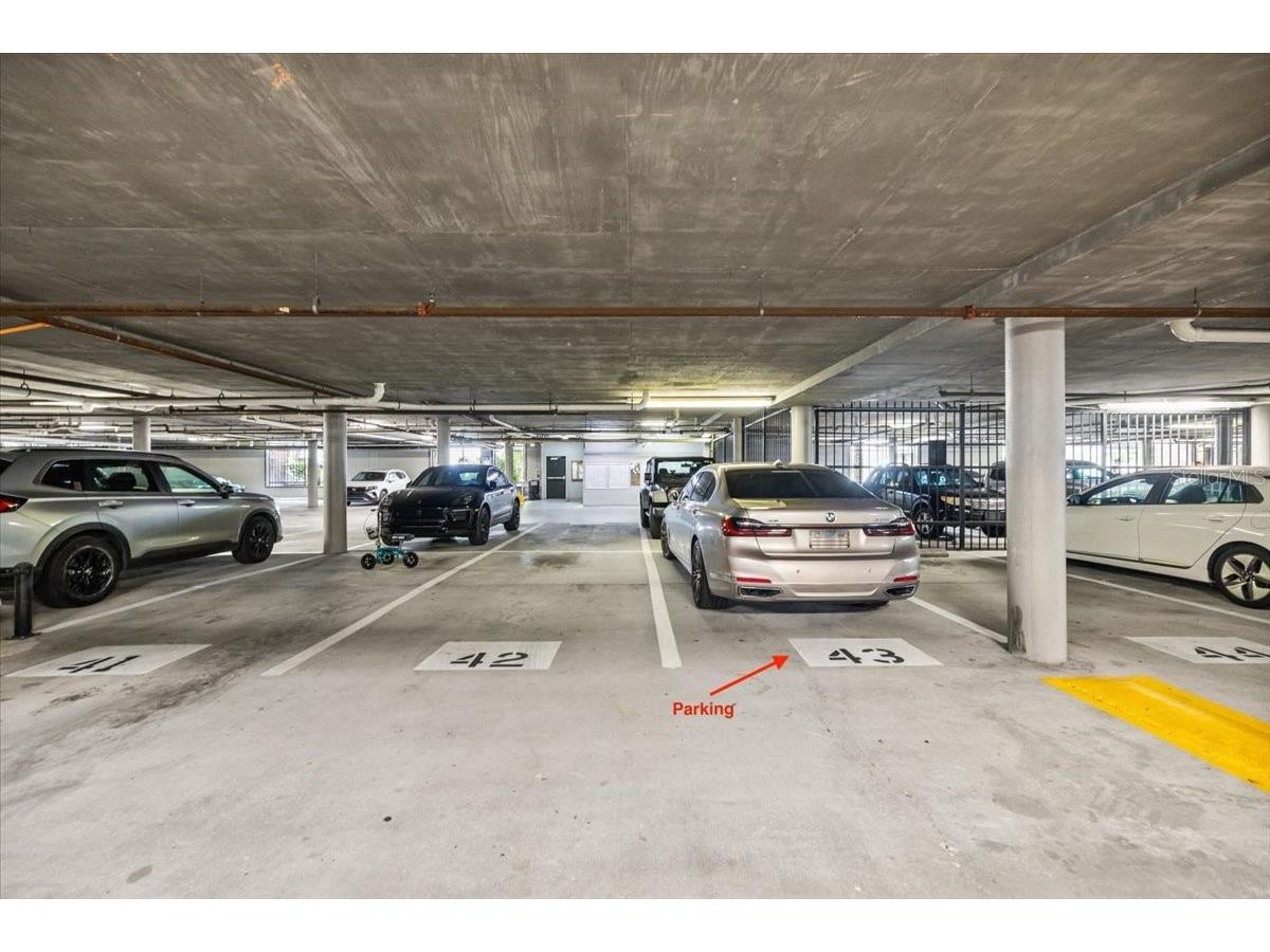 800 S Dakota Avenue #206 Tampa FL 33606 TB8471411 image37