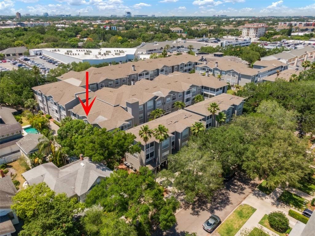 800 S Dakota Avenue #221 Tampa FL 33606 TB8444668 image67