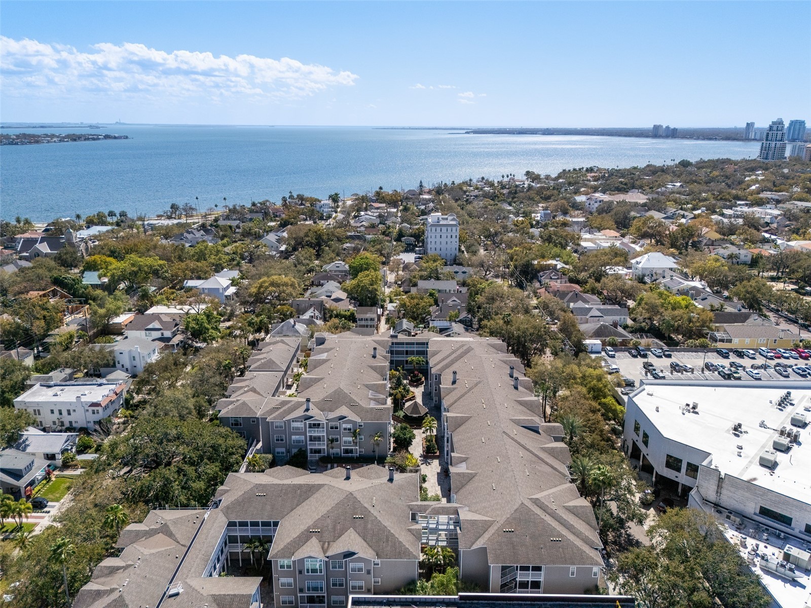 800 S Dakota Avenue #221 Tampa FL 33606 TB8480735 image1