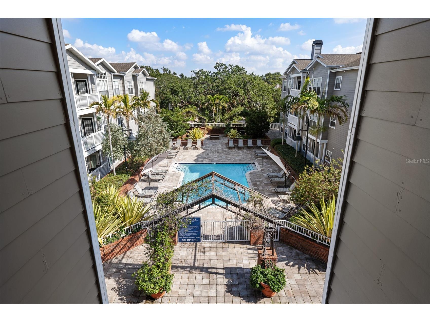 800 S Dakota Avenue #221 Tampa FL 33606 TB8480735 image19