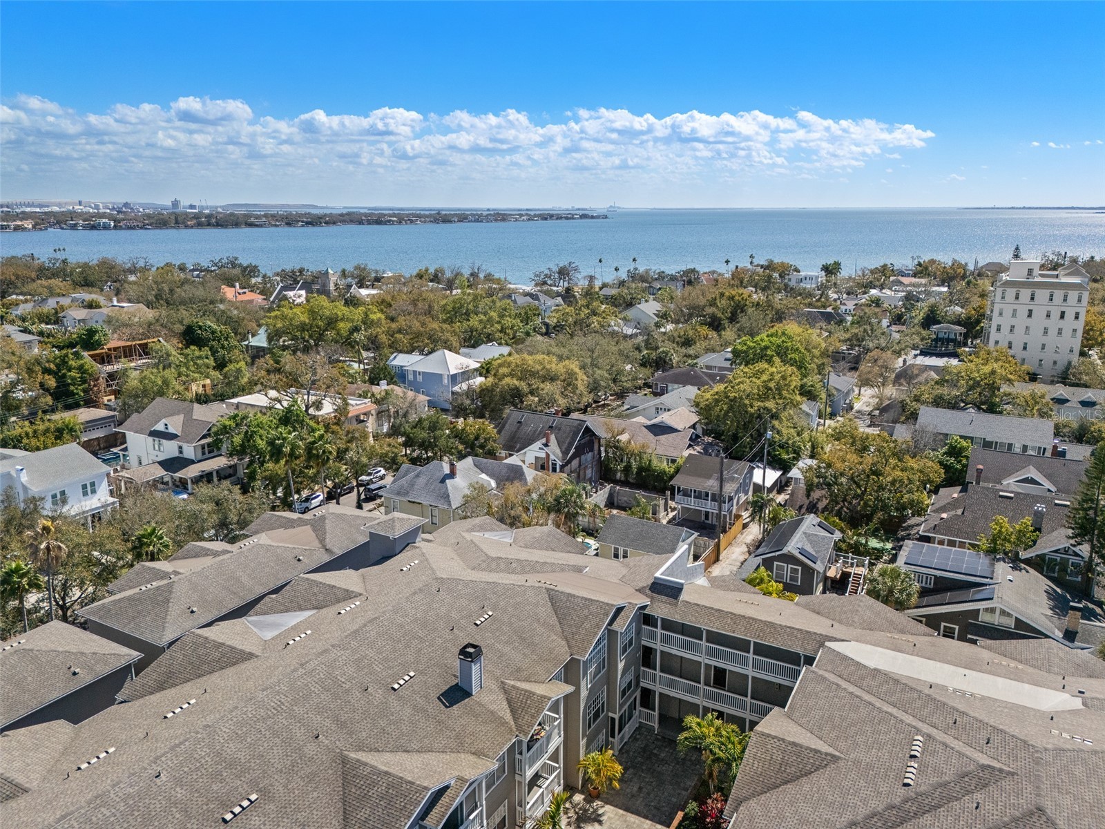 800 S Dakota Avenue #221 Tampa FL 33606 TB8480735 image2