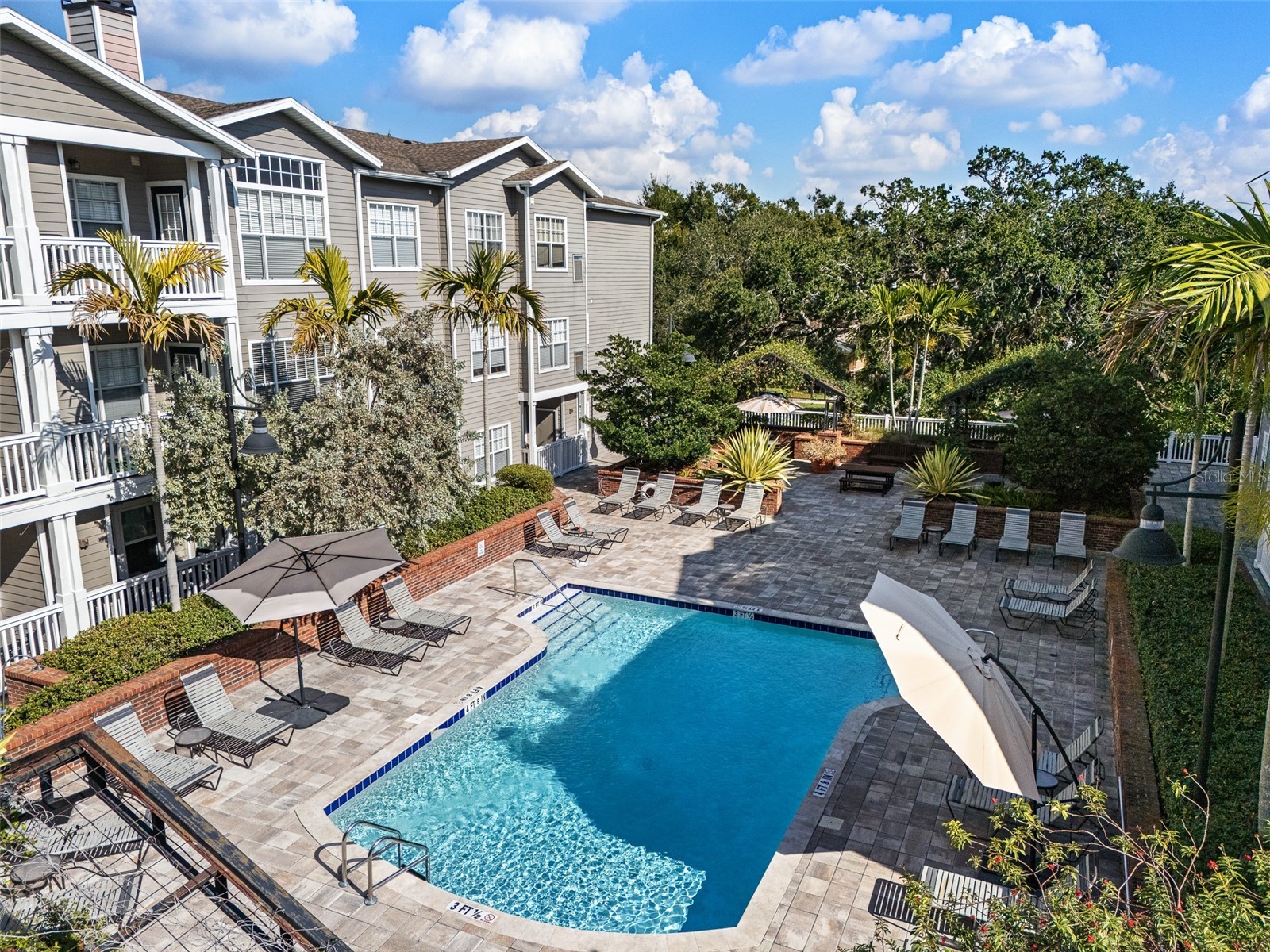 800 S Dakota Avenue #221 Tampa FL 33606 TB8480735 image22