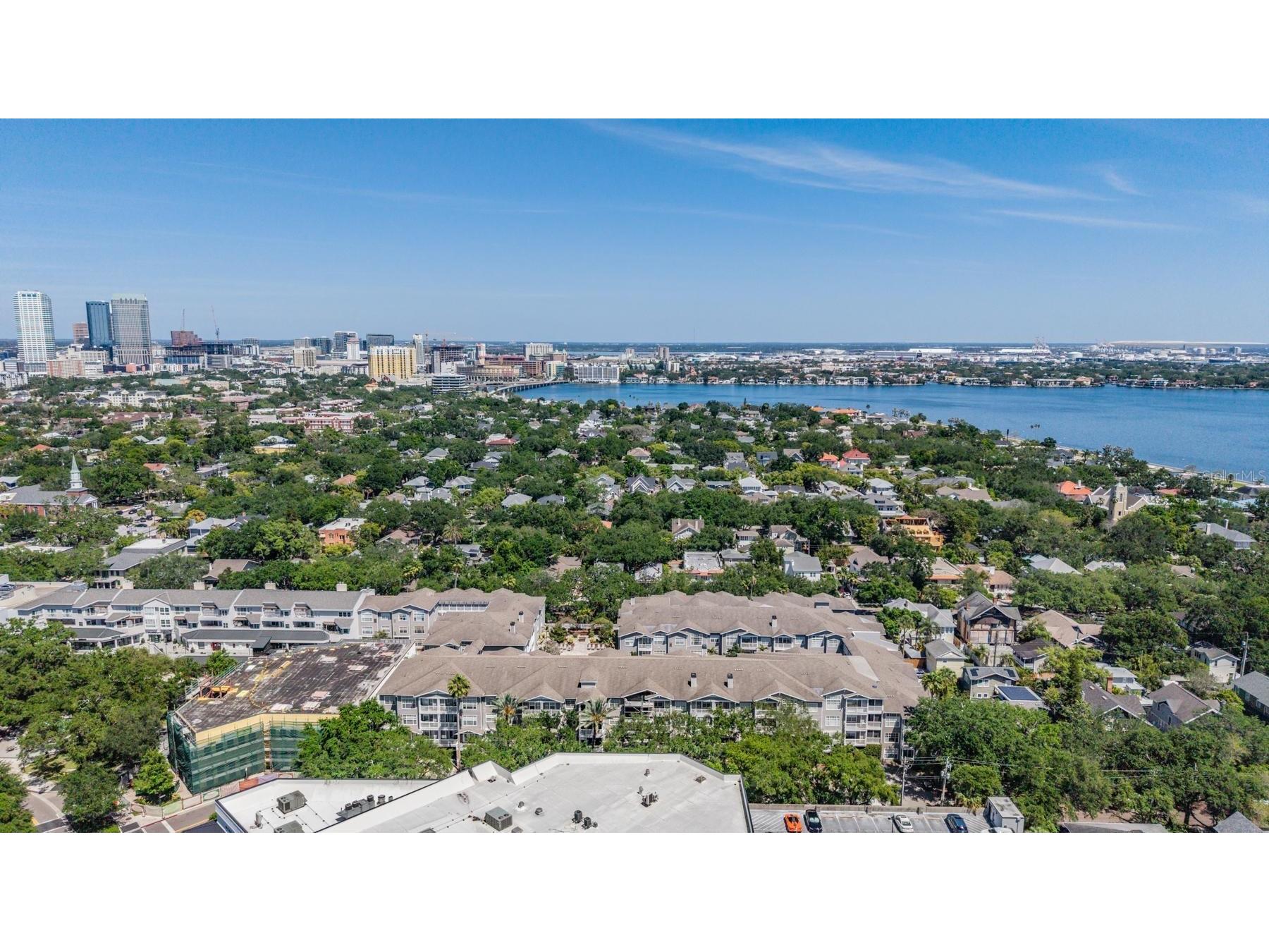 800 S Dakota Avenue #230 Tampa FL 33606 TB8498738 image27