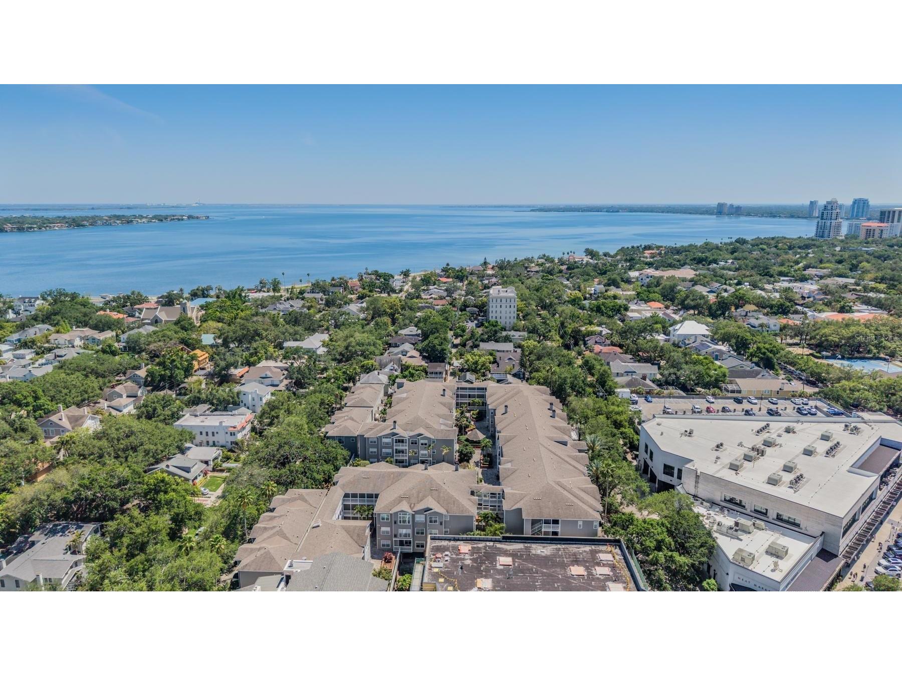 800 S Dakota Avenue #230 Tampa FL 33606 TB8498738 image28