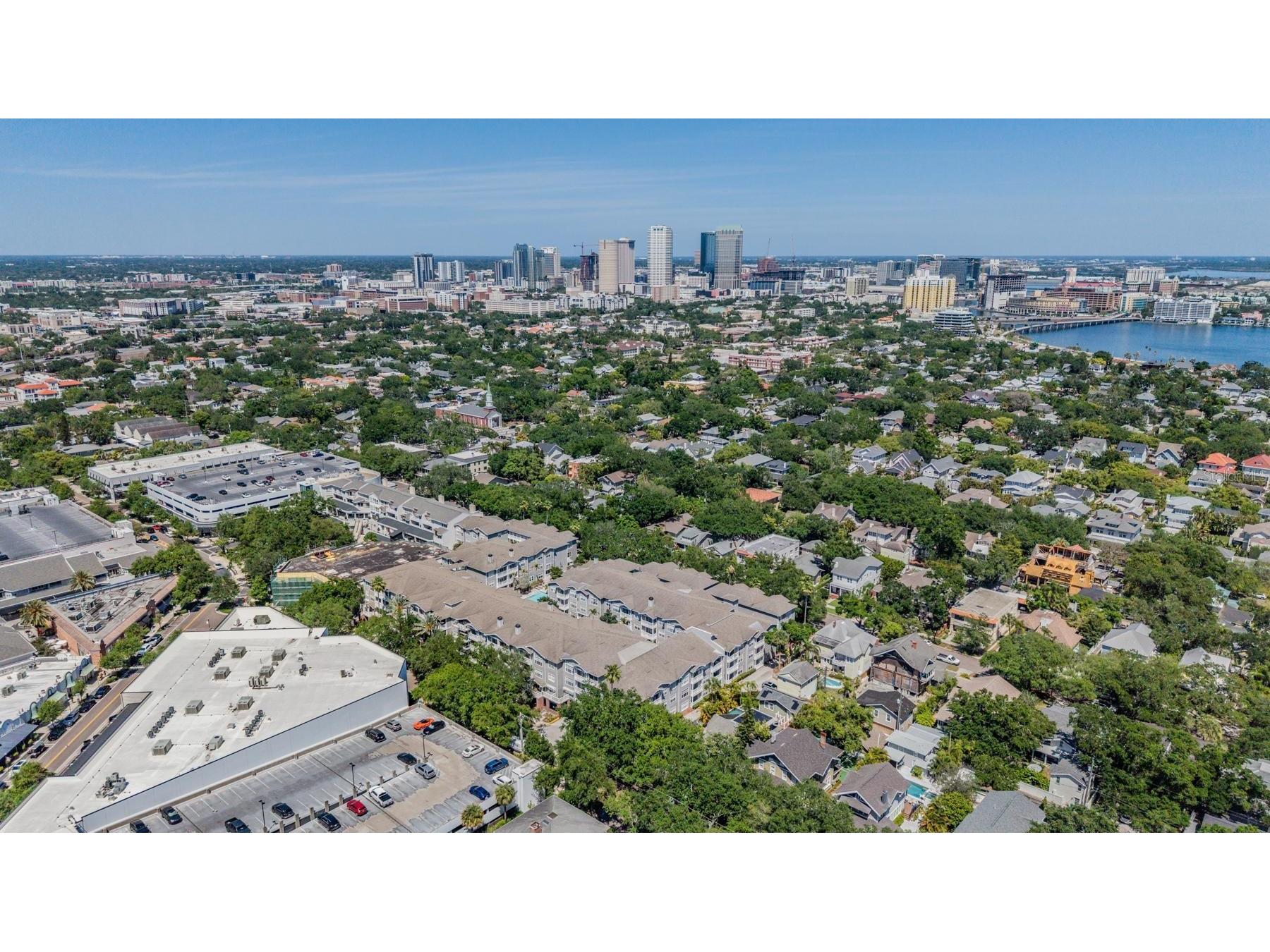 800 S Dakota Avenue #230 Tampa FL 33606 TB8498738 image29