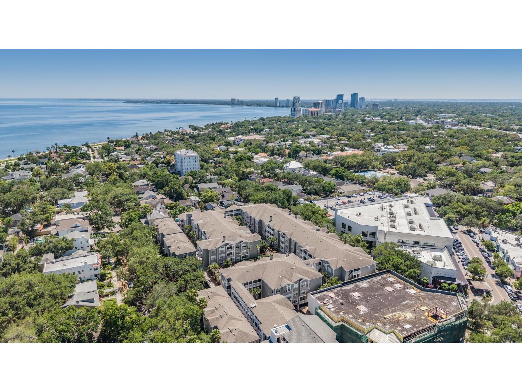 800 S Dakota Avenue #230 Tampa FL 33606 TB8498738 image30