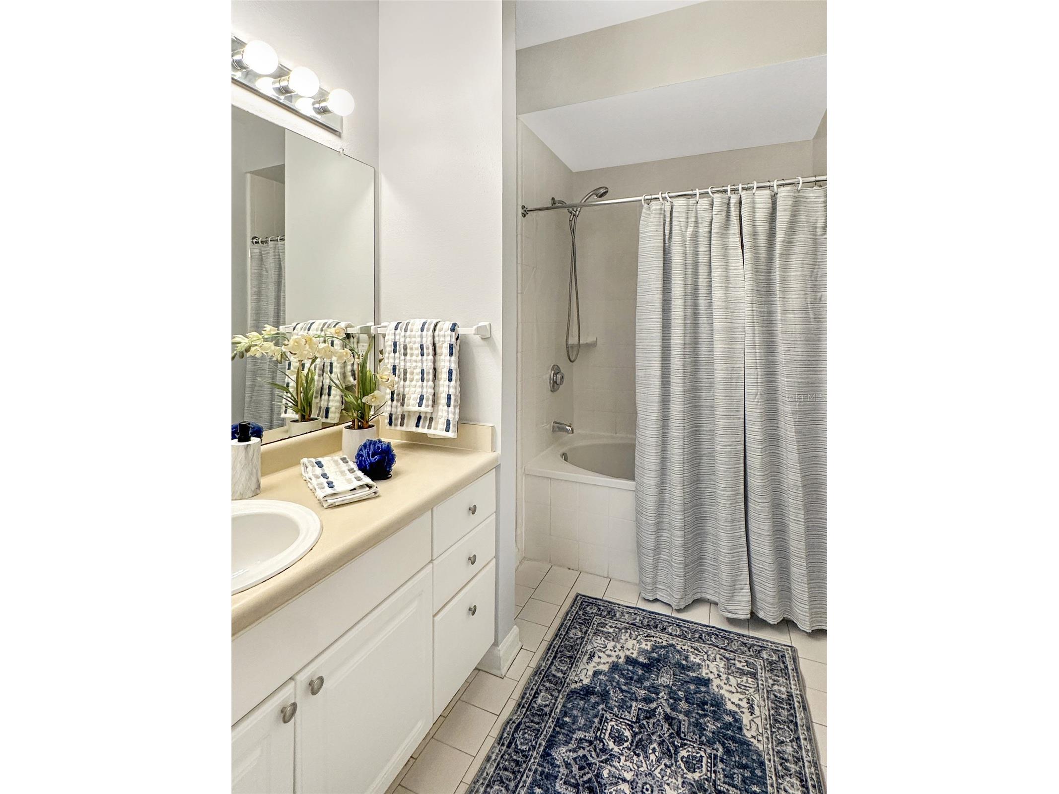 800 S Dakota Avenue #302 Tampa FL 33606 L4959224 image10