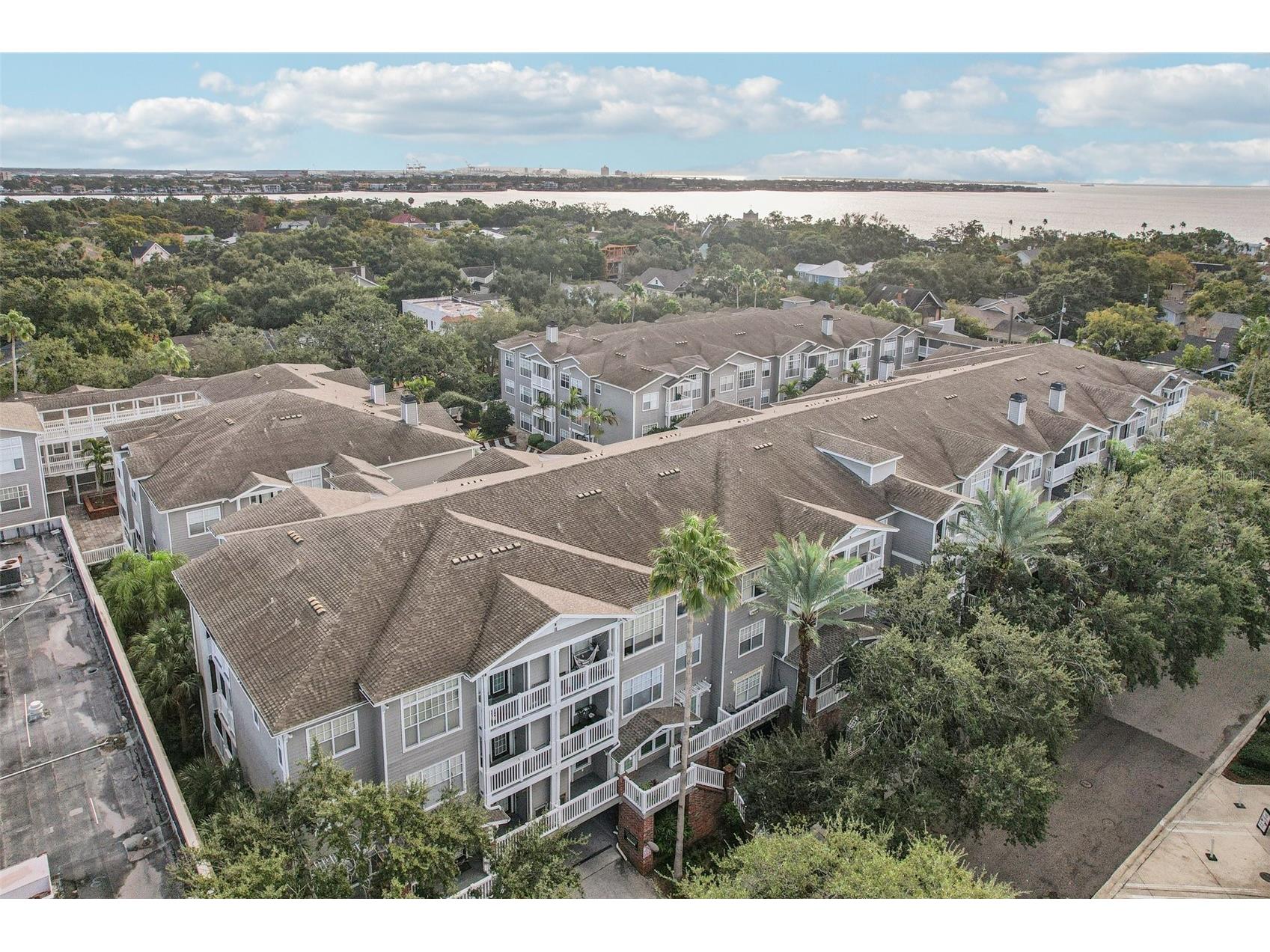800 S Dakota Avenue #310 Tampa FL 33606 TB8458242 image1