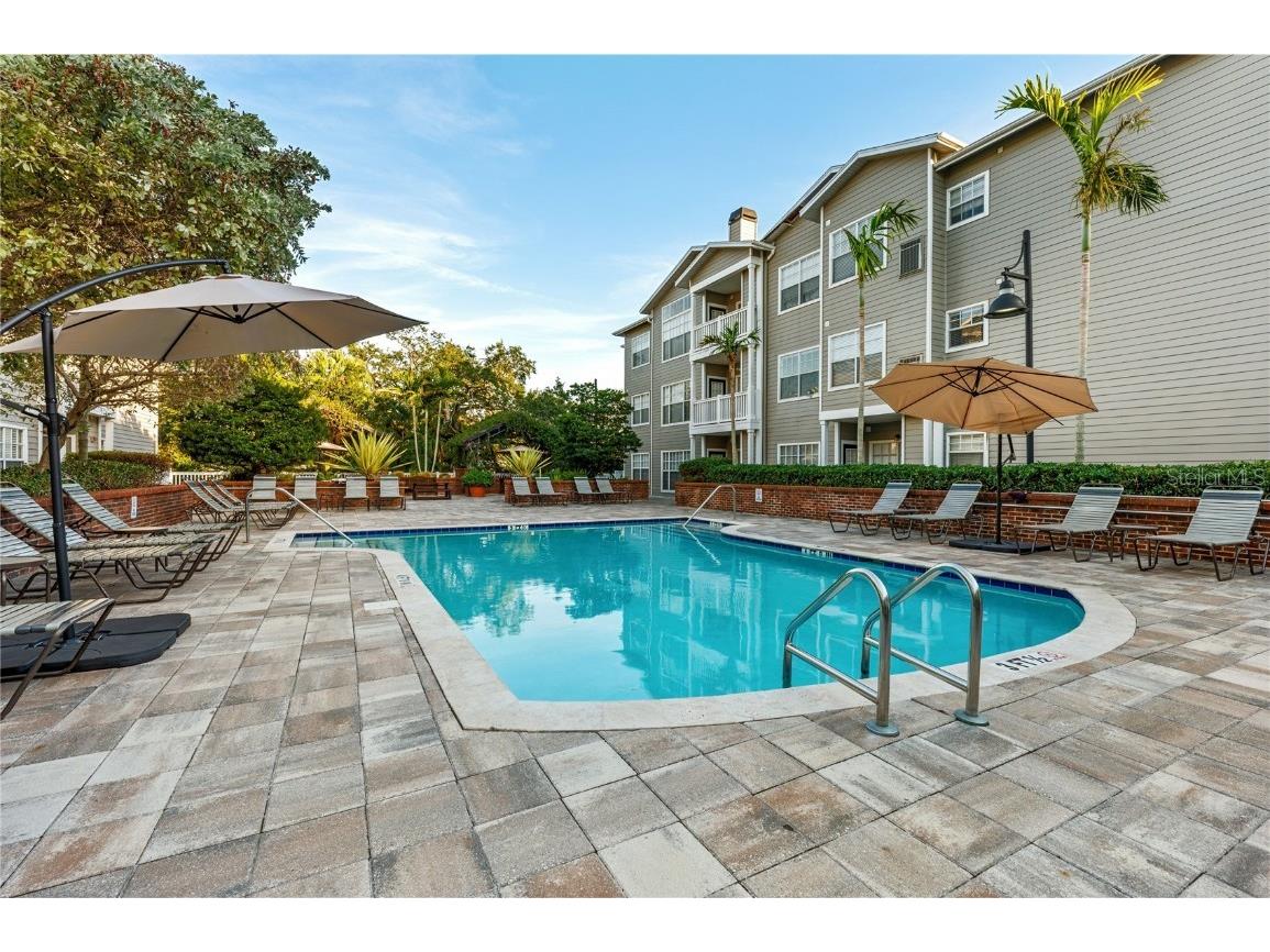 800 S Dakota Avenue #337 Tampa FL 33606 TB8389457 image19