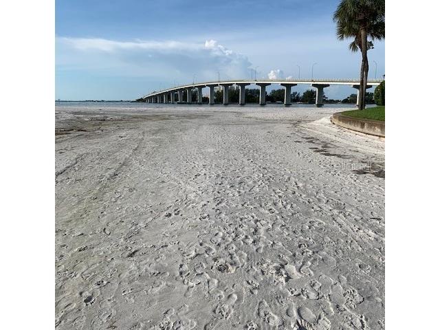 800 S Gulfview Boulevard #302 Clearwater Beach FL 33767 U8064692 image1