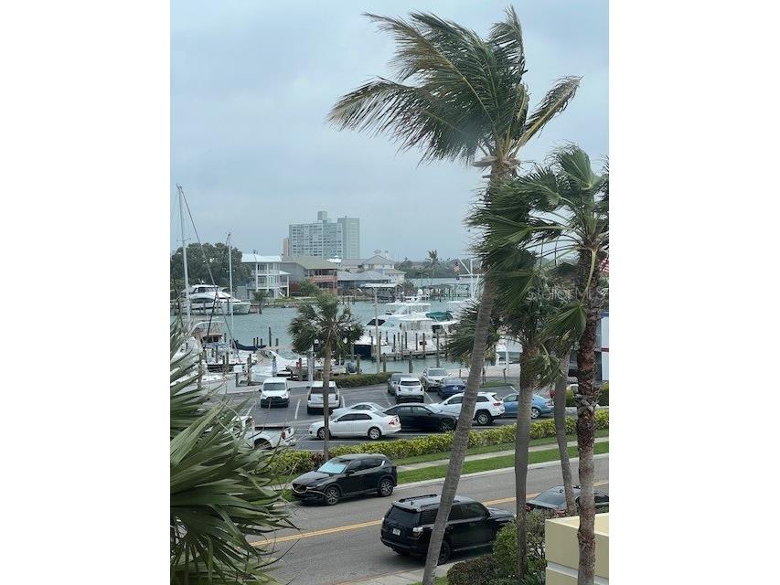 800 S Gulfview Boulevard #302 Clearwater Beach FL 33767 U8064692 image12