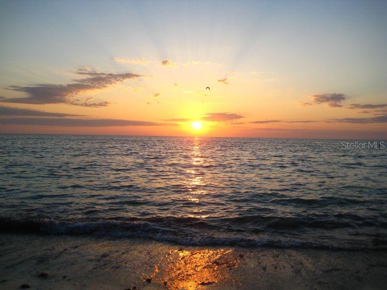 800 S Gulfview Boulevard #302 Clearwater Beach FL 33767 U8064692 image44