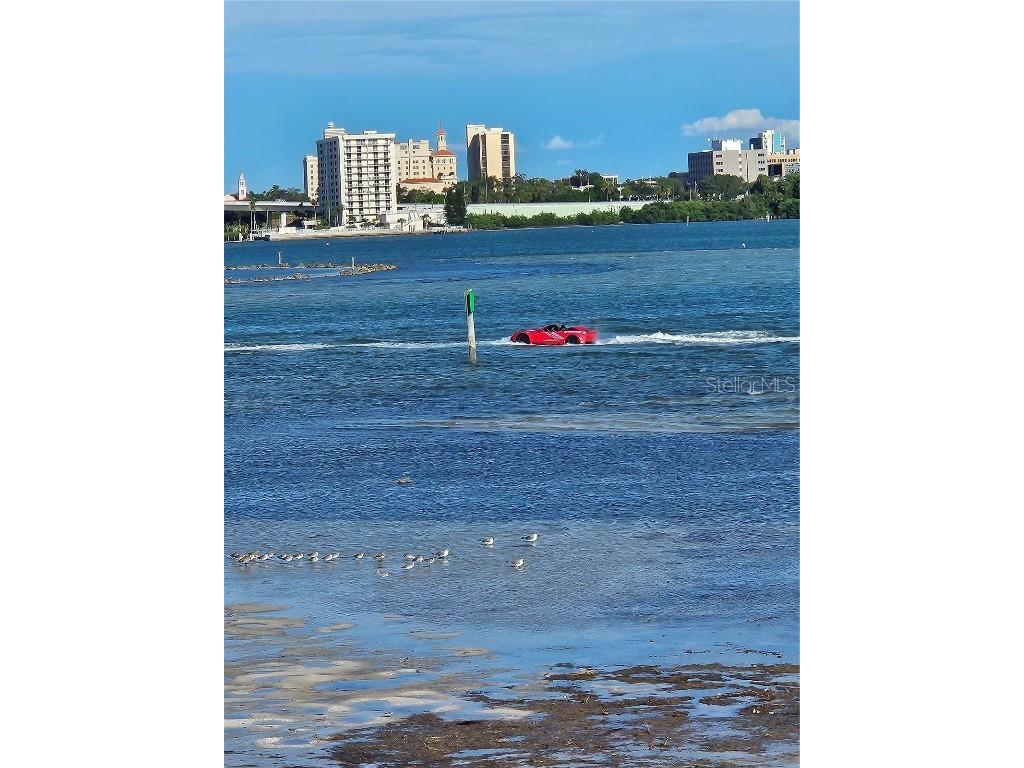 800 S Gulfview Boulevard #607 Clearwater Beach FL 33767 TB8446559 image22