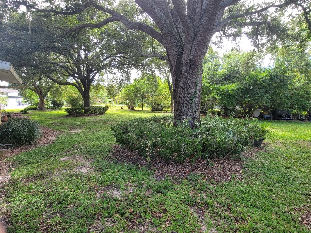 800 W Lake Elbert Drive NE Winter Haven FL 33881 - LAKE ELBERT TB8382290 image22