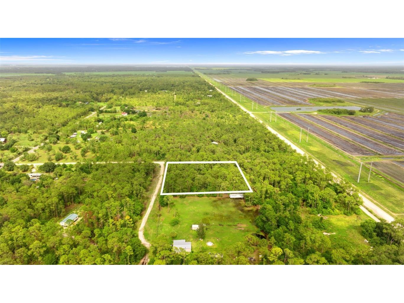 800 Wildwood Avenue Clewiston FL 33440 P4933574 image4