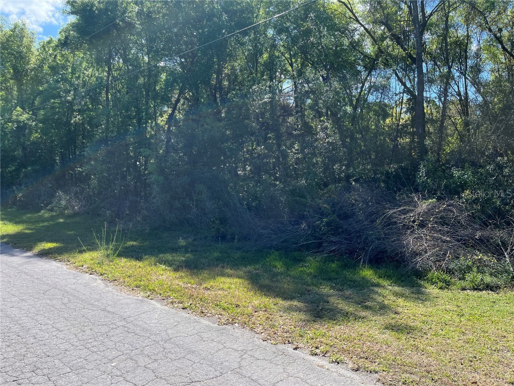 8000 E Partridge Lane Floral City FL 34436 G5067540 image1