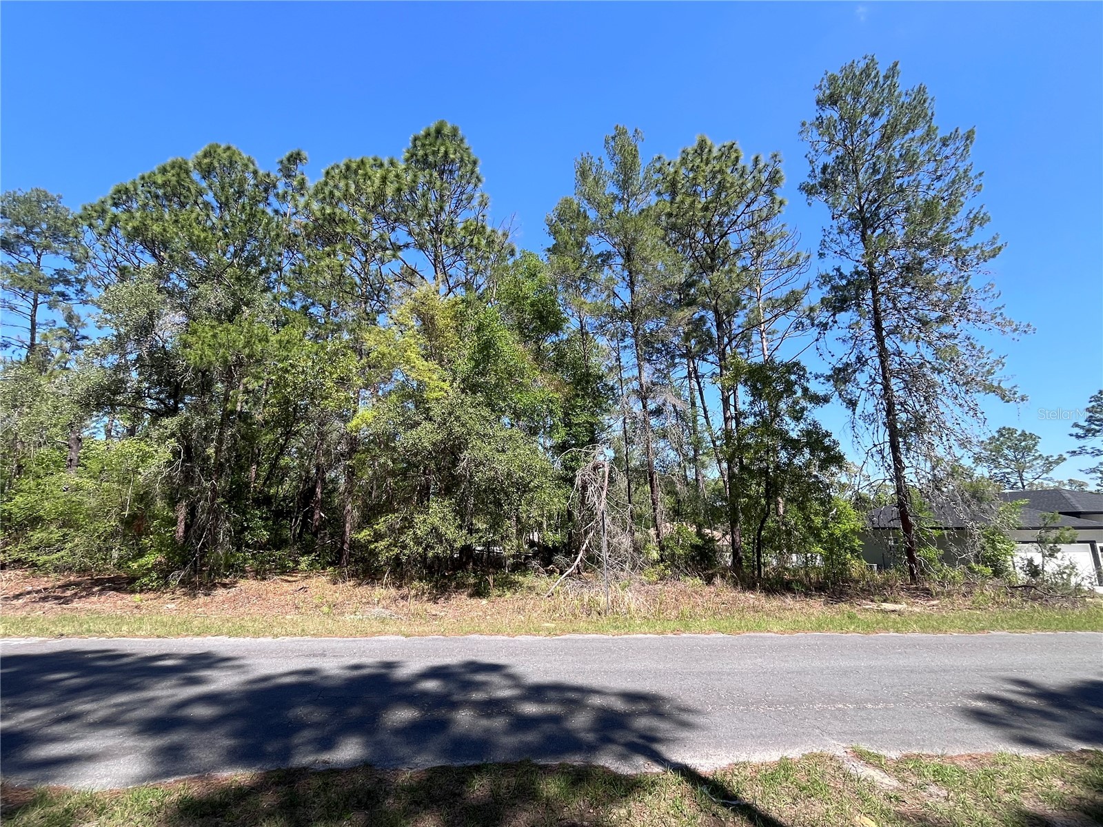 8000 N Pocono Drive Citrus Springs FL 34434 TB8499728 image1