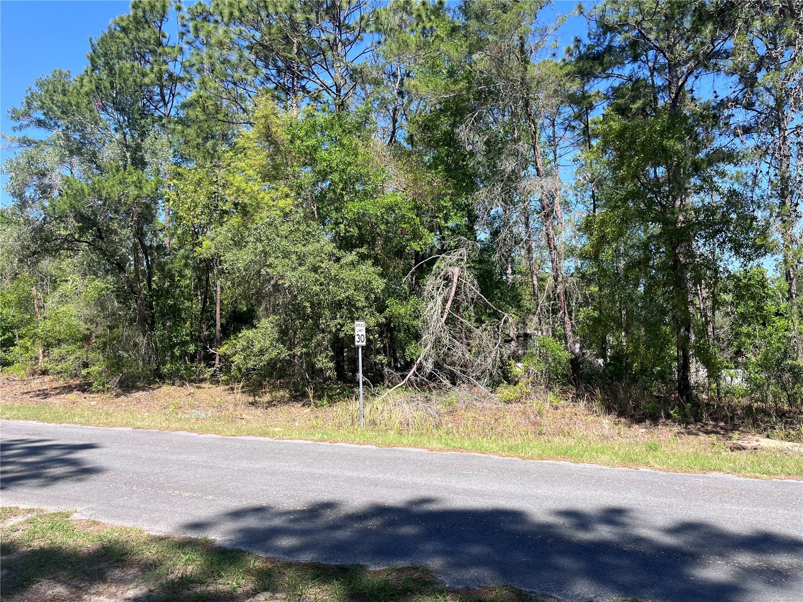 8000 N Pocono Drive Citrus Springs FL 34434 TB8499728 image2