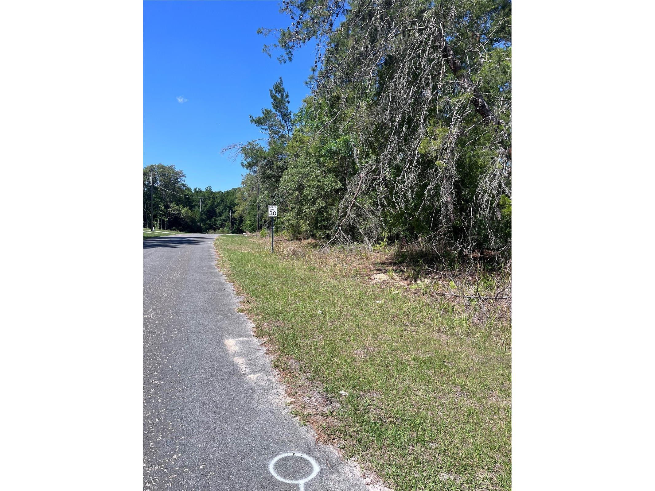 8000 N Pocono Drive Citrus Springs FL 34434 TB8499728 image3