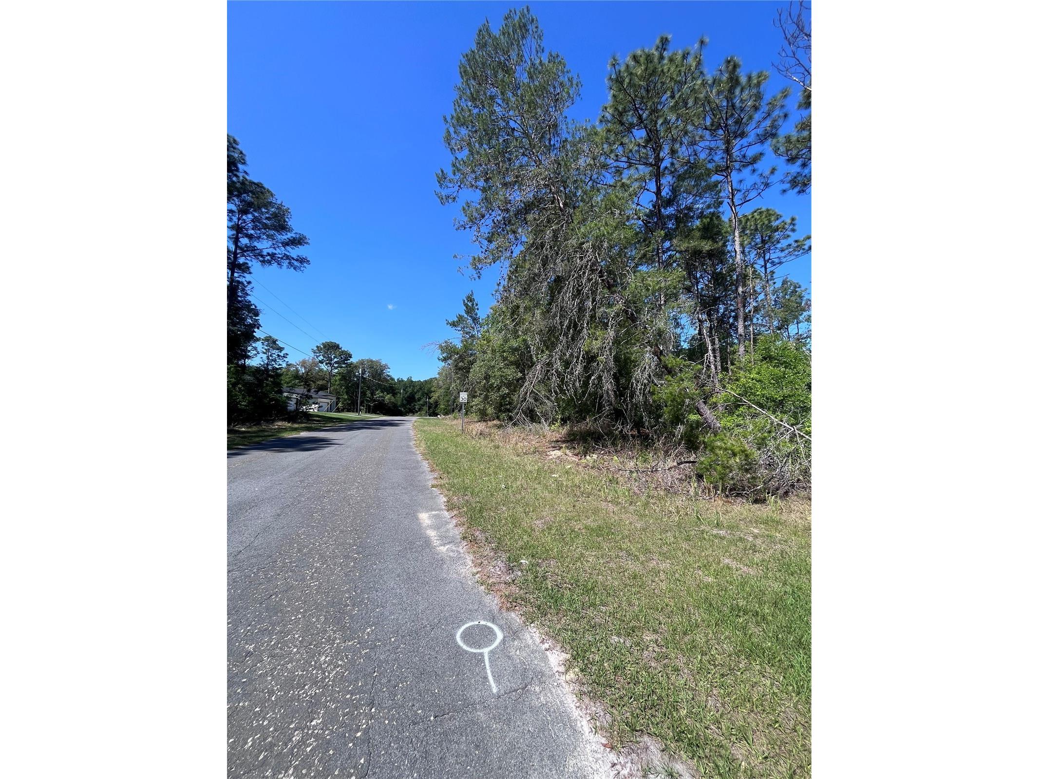 8000 N Pocono Drive Citrus Springs FL 34434 TB8499728 image4