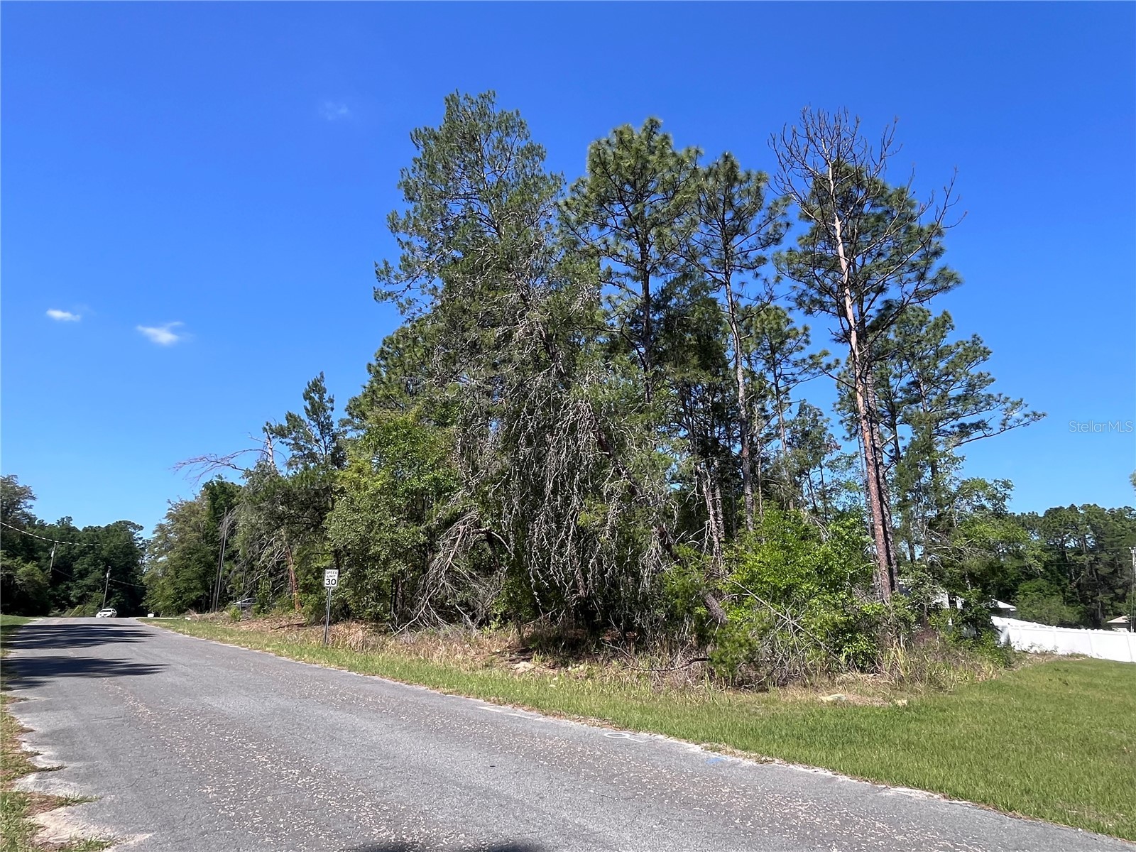 8000 N Pocono Drive Citrus Springs FL 34434 TB8499728 image5