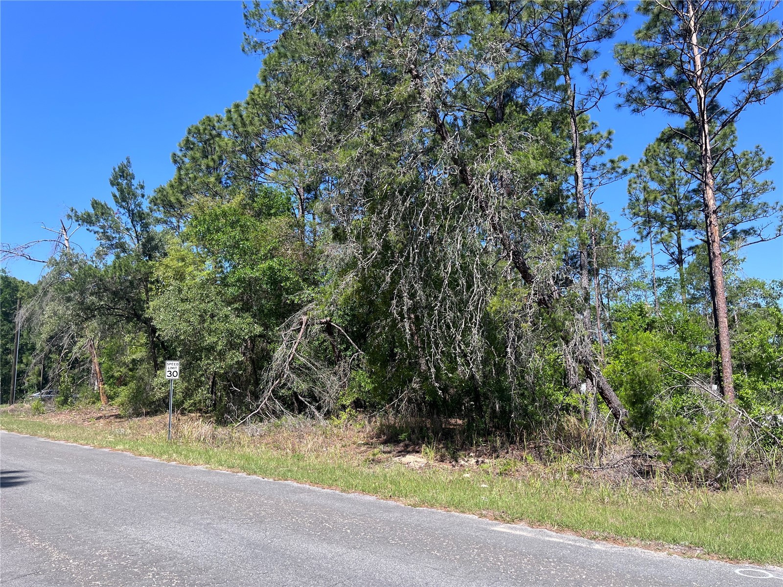 8000 N Pocono Drive Citrus Springs FL 34434 TB8499728 image6