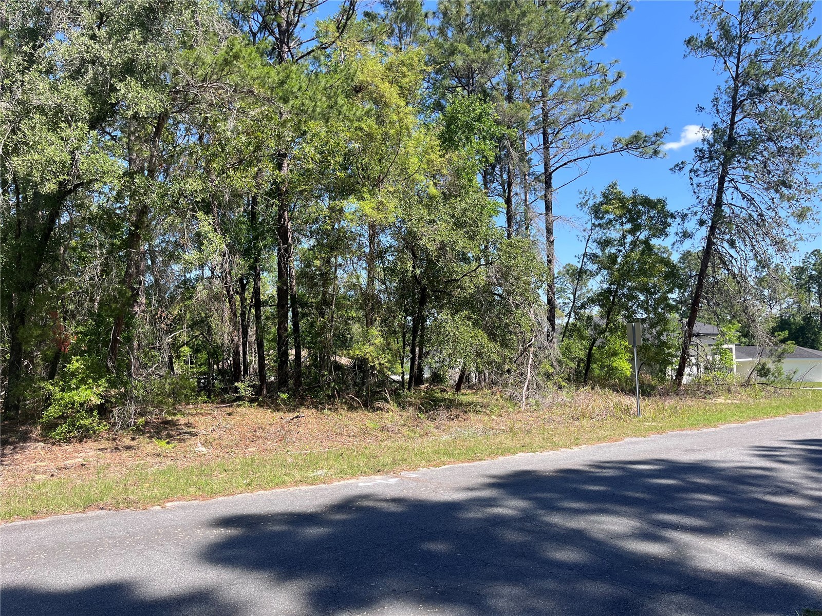 8000 N Pocono Drive Citrus Springs FL 34434 TB8499728 image7