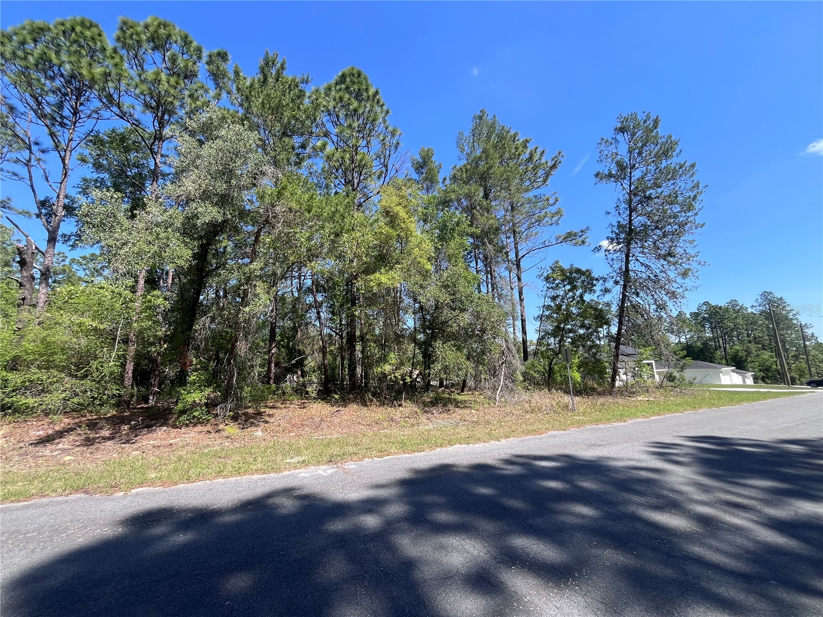 8000 N Pocono Drive Citrus Springs FL 34434 TB8499728 image8