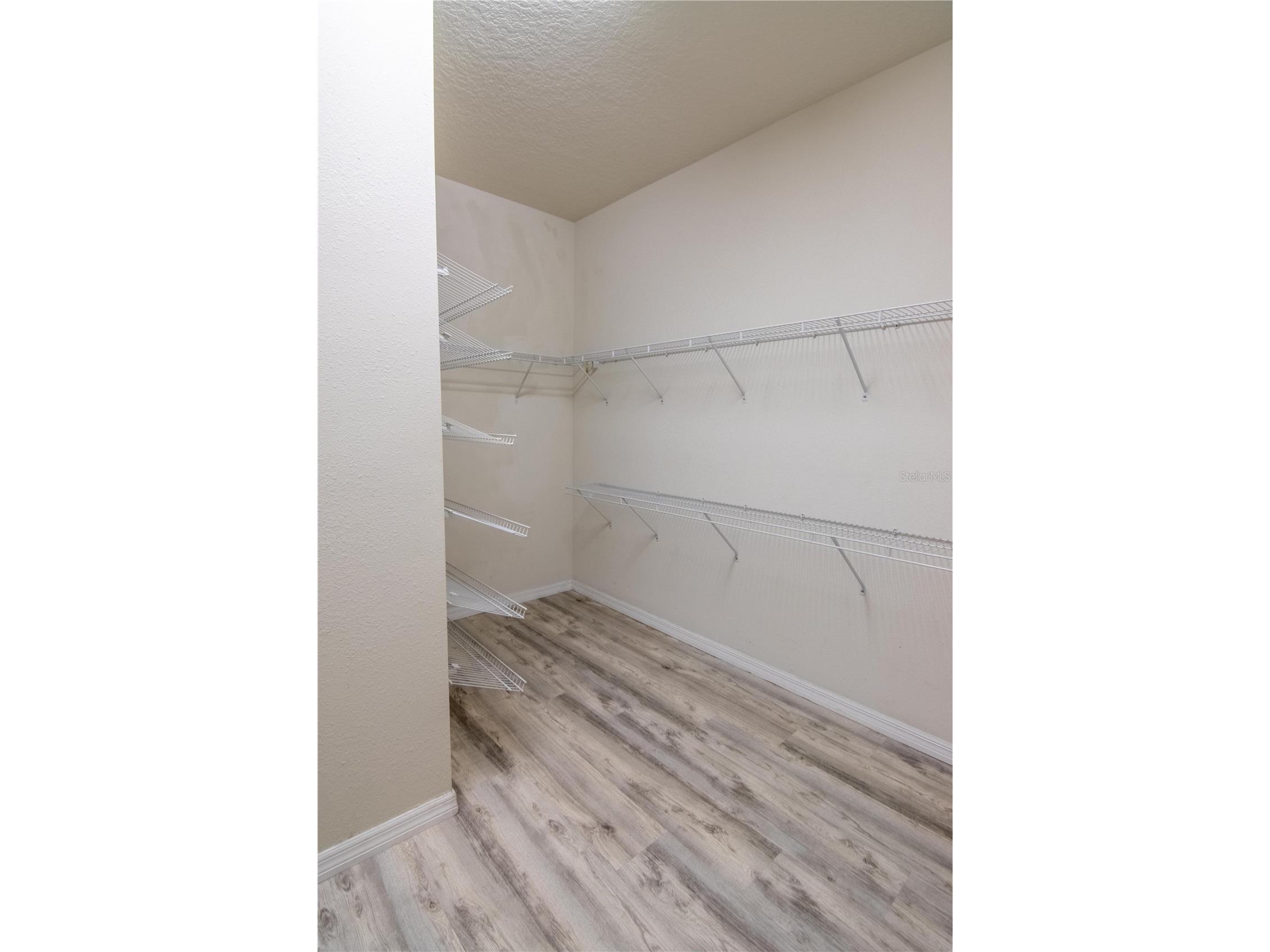 8000 Olive Brook Drive Wesley Chapel FL 33545 TB8468889 image13