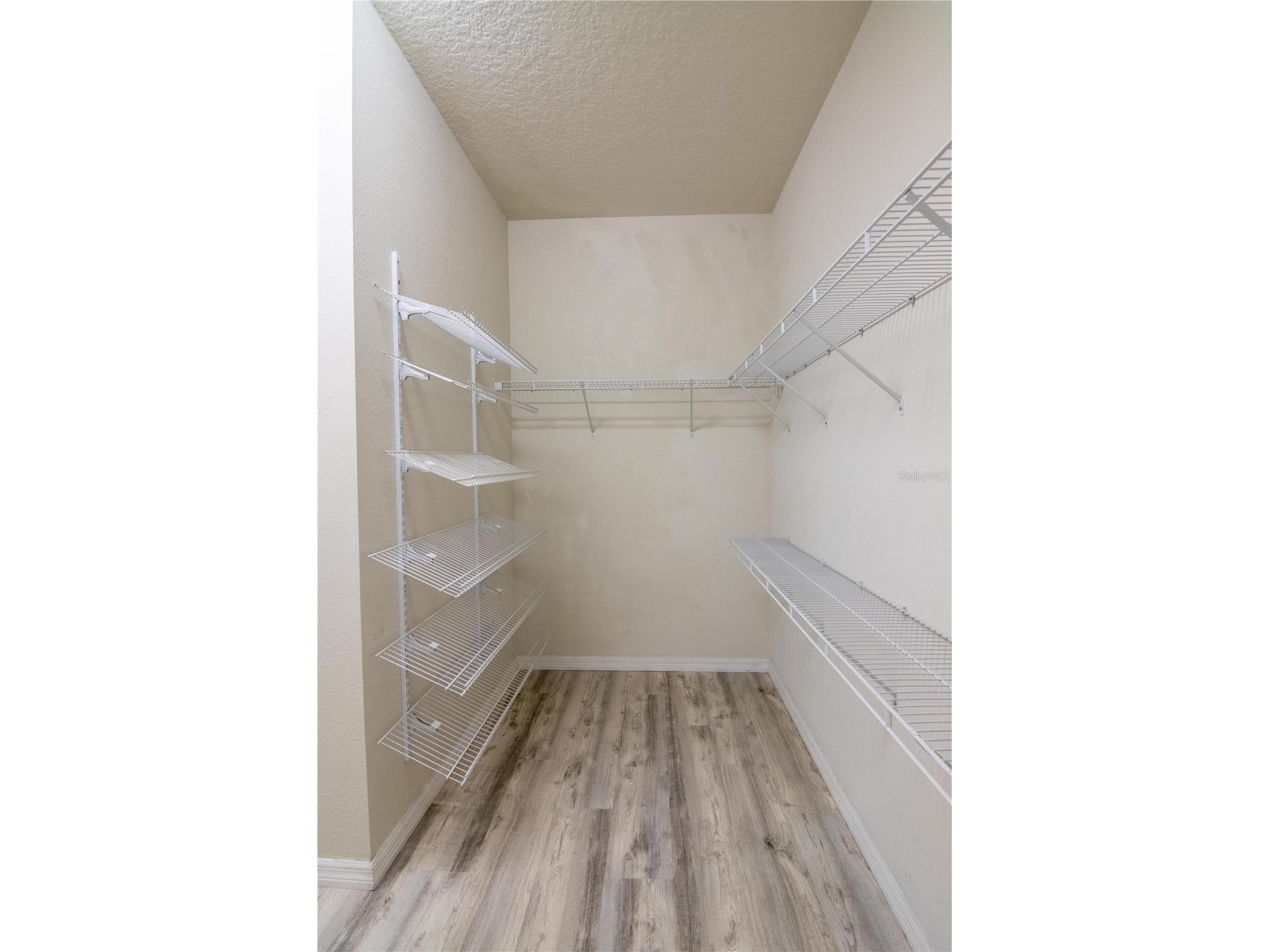 8000 Olive Brook Drive Wesley Chapel FL 33545 TB8468889 image14