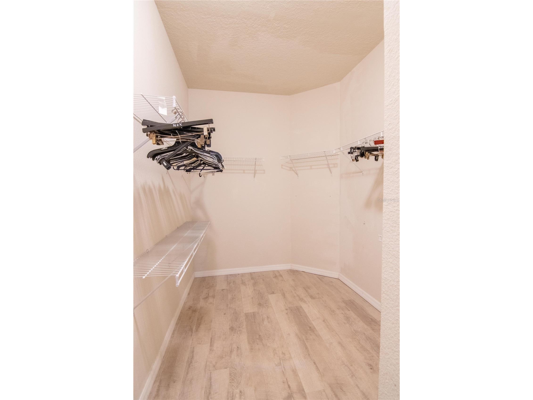 8000 Olive Brook Drive Wesley Chapel FL 33545 TB8468889 image18