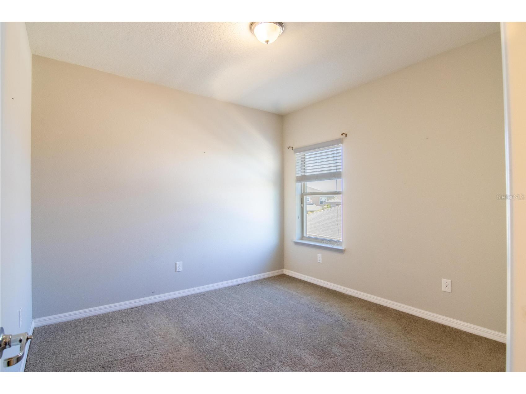 8000 Olive Brook Drive Wesley Chapel FL 33545 TB8468889 image26