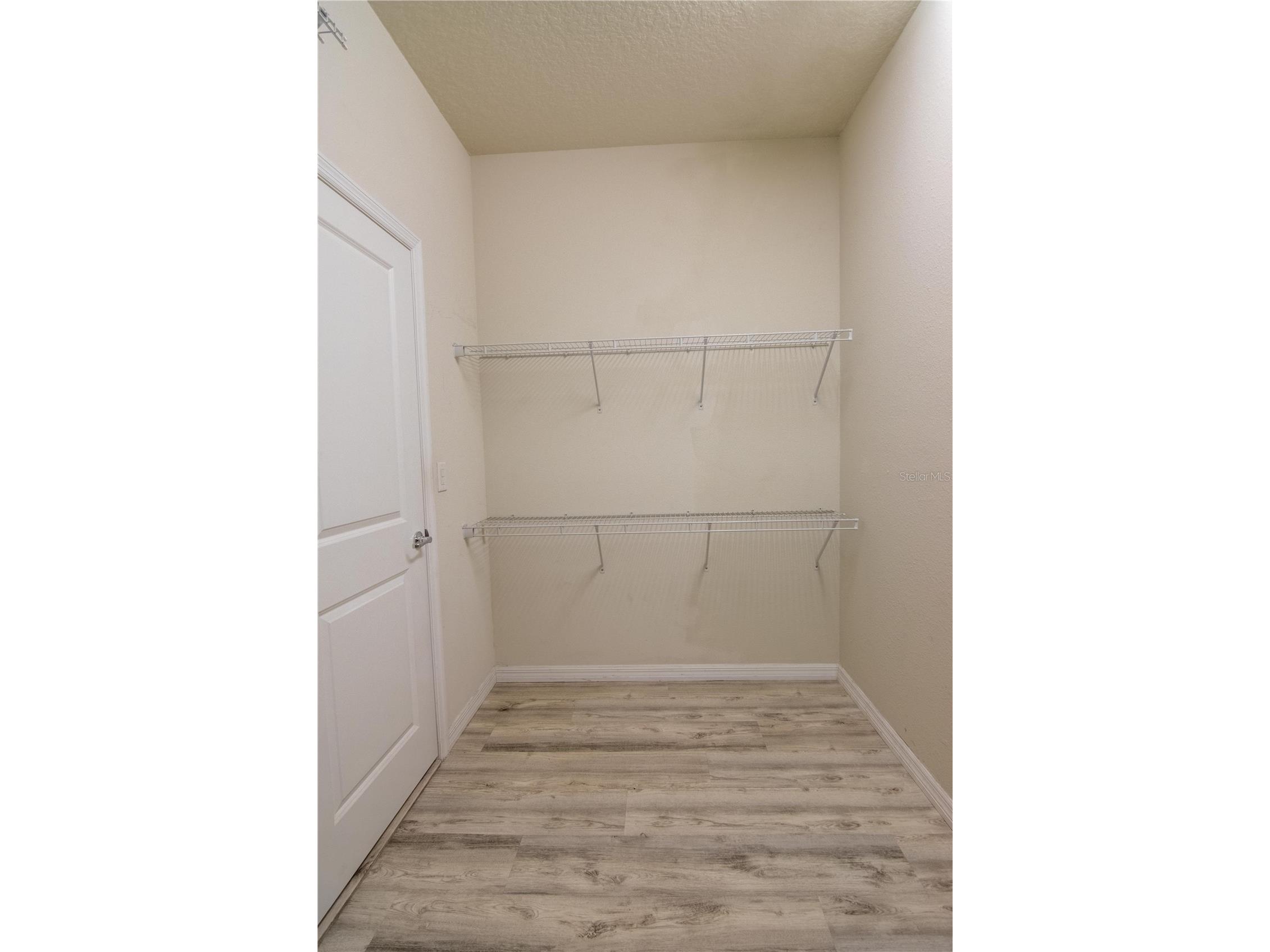 8000 Olive Brook Drive Wesley Chapel FL 33545 TB8468889 image28