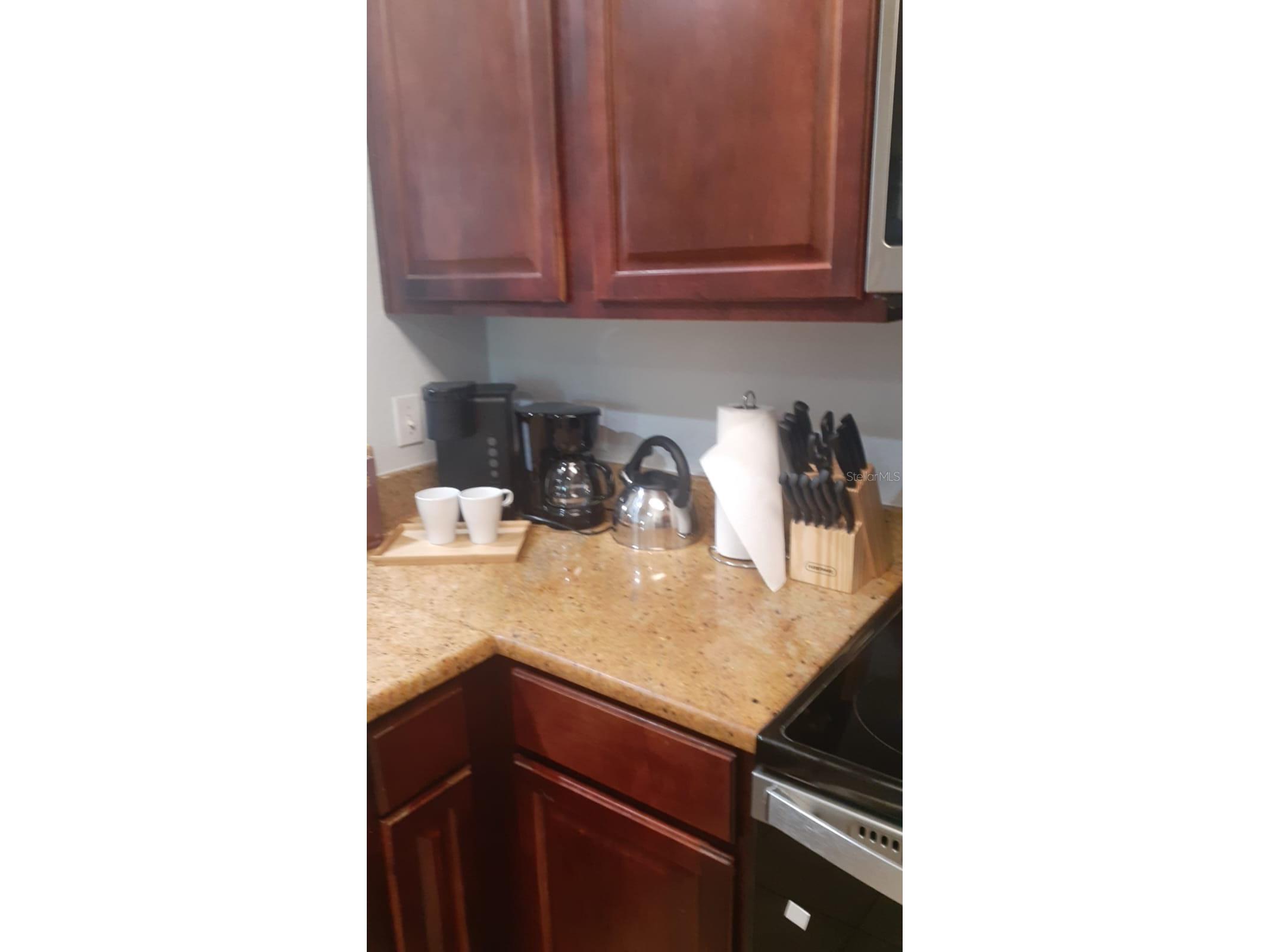 8000 Tuscany Way #4203 Davenport FL 33896 S5151143 image11