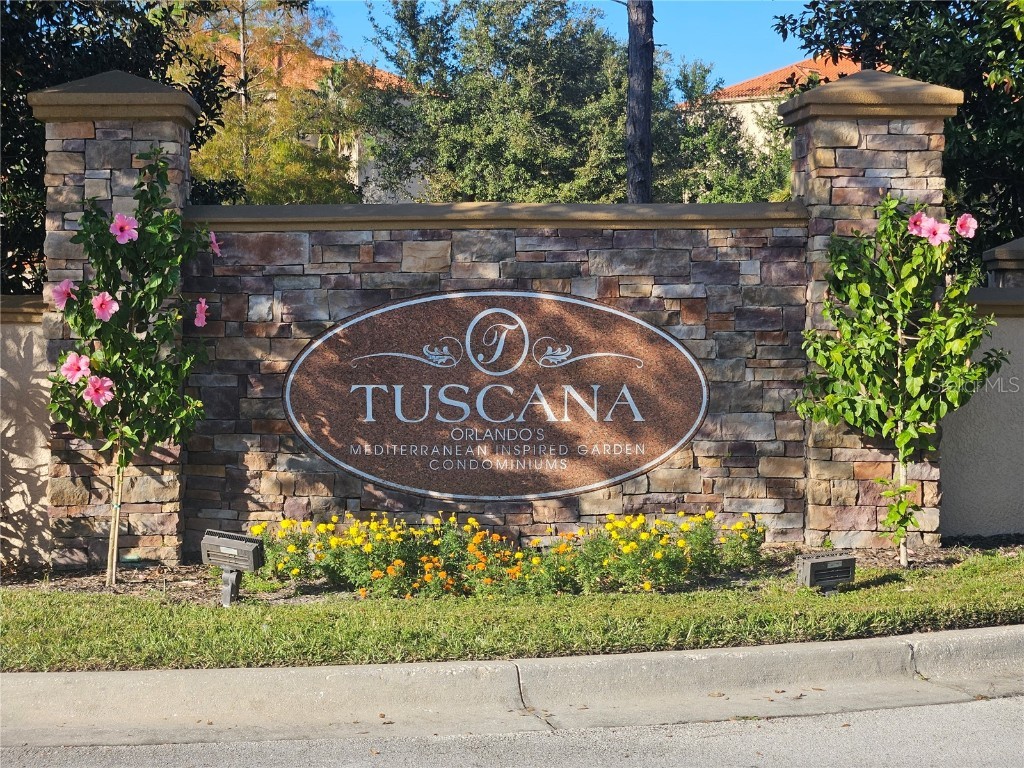 8000 Tuscany Way #4207 Davenport FL 33896 TB8446555 image37