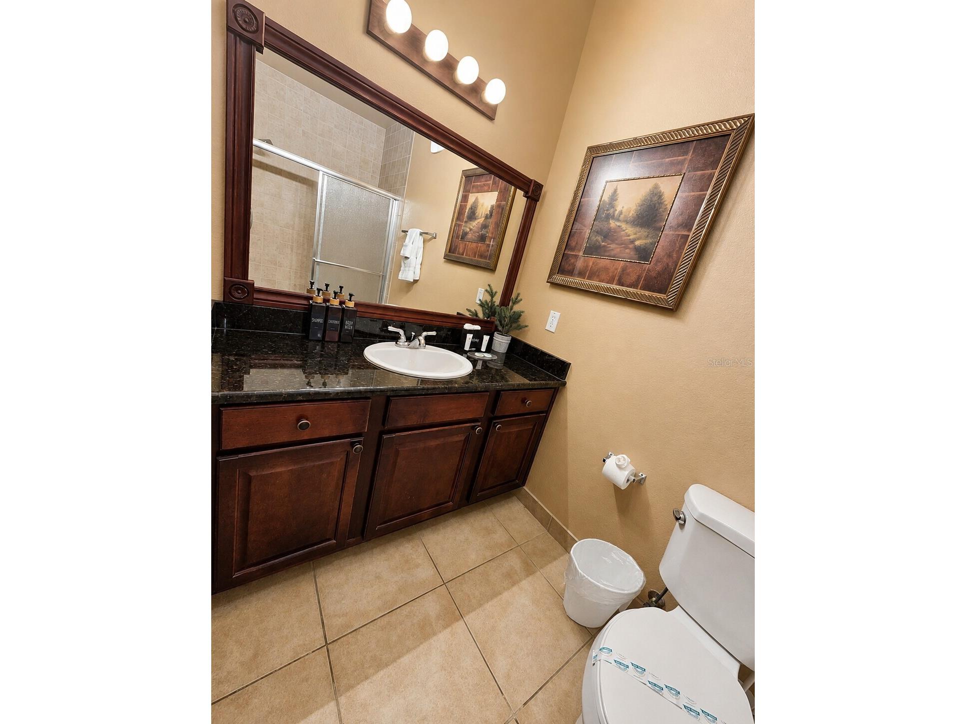 8000 Tuscany Way #4207 Davenport FL 33896 TB8513942 image24