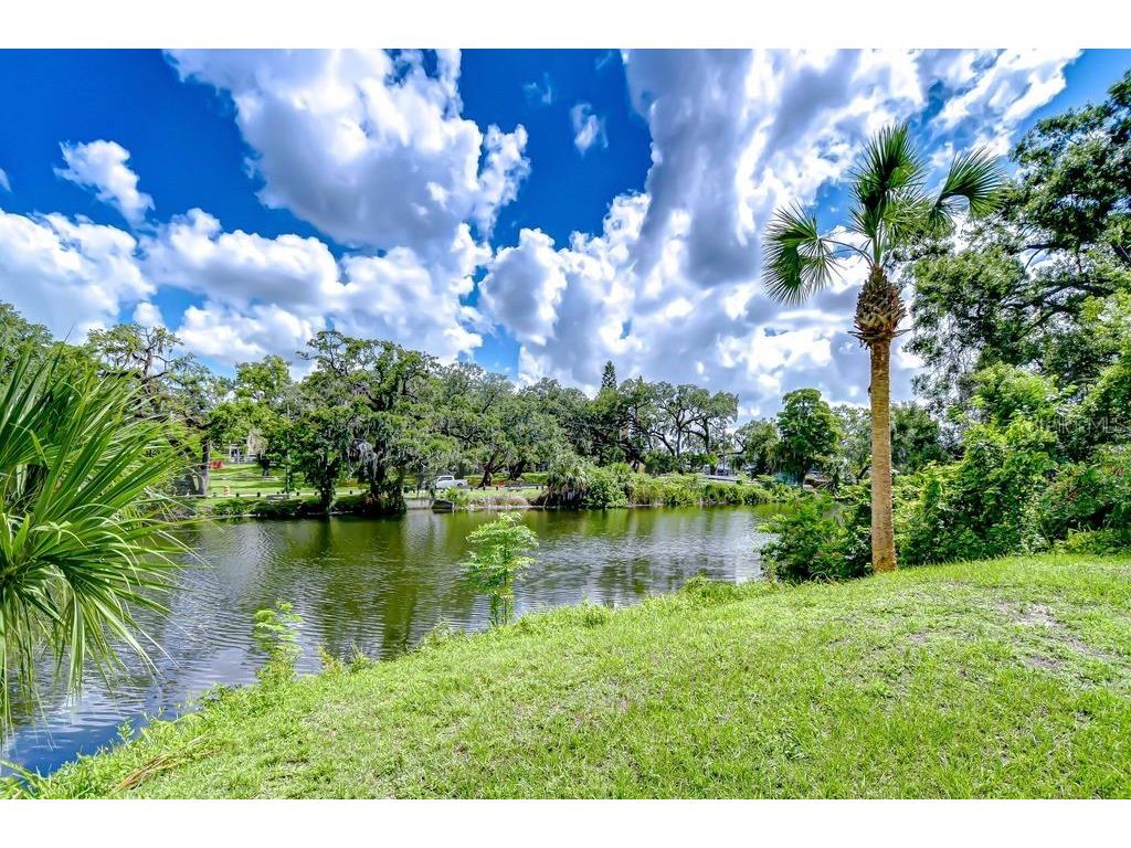 8001 N Highland Avenue Tampa FL 33604 - HILLSBOROUGH RIVER TB8449196 image10