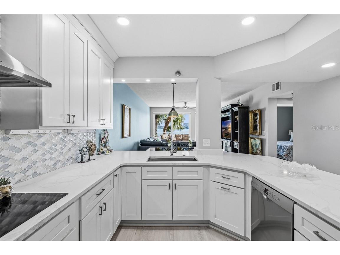 8001 Sailboat Key Boulevard S #105 Saint Pete Beach FL 33707 - BOCA CIEGA BAY A4669511 image11