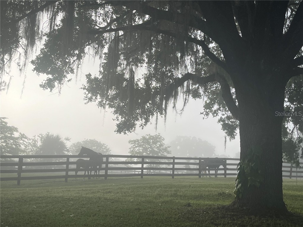 8001 SE 7th Avenue Road Ocala FL 34480 OM709421 image2