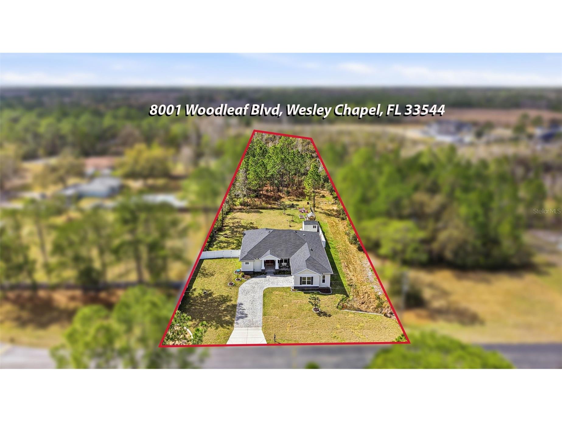 8001 Woodleaf Boulevard Wesley Chapel FL 33544 TB8464672 image3